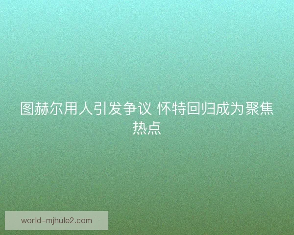 图赫尔用人引发争议 怀特回归成为聚焦热点