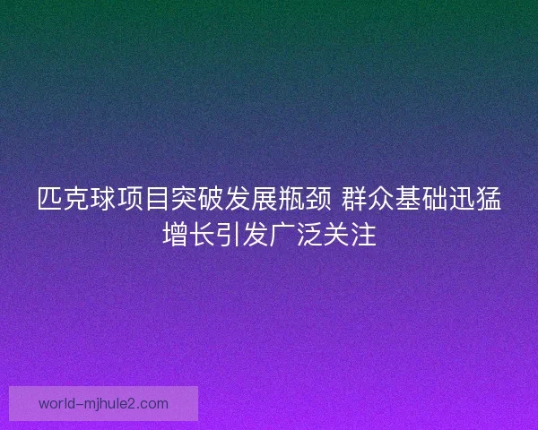 匹克球项目突破发展瓶颈 群众基础迅猛增长引发广泛关注 匹克球项目突破发展瓶颈 群众基础迅猛增长引发广泛关注